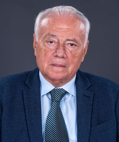 Vladimir Domazet